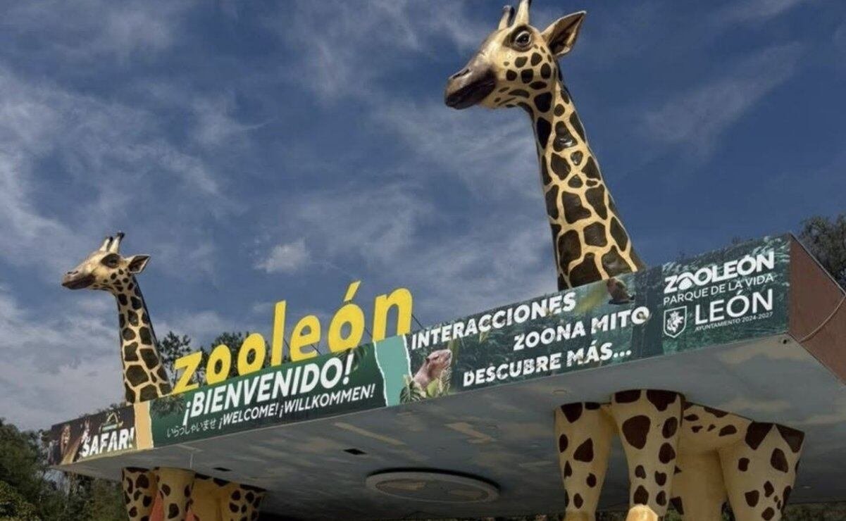 Cierran de forma temporal zoológico de León por seguridad de animales cierran zoológico