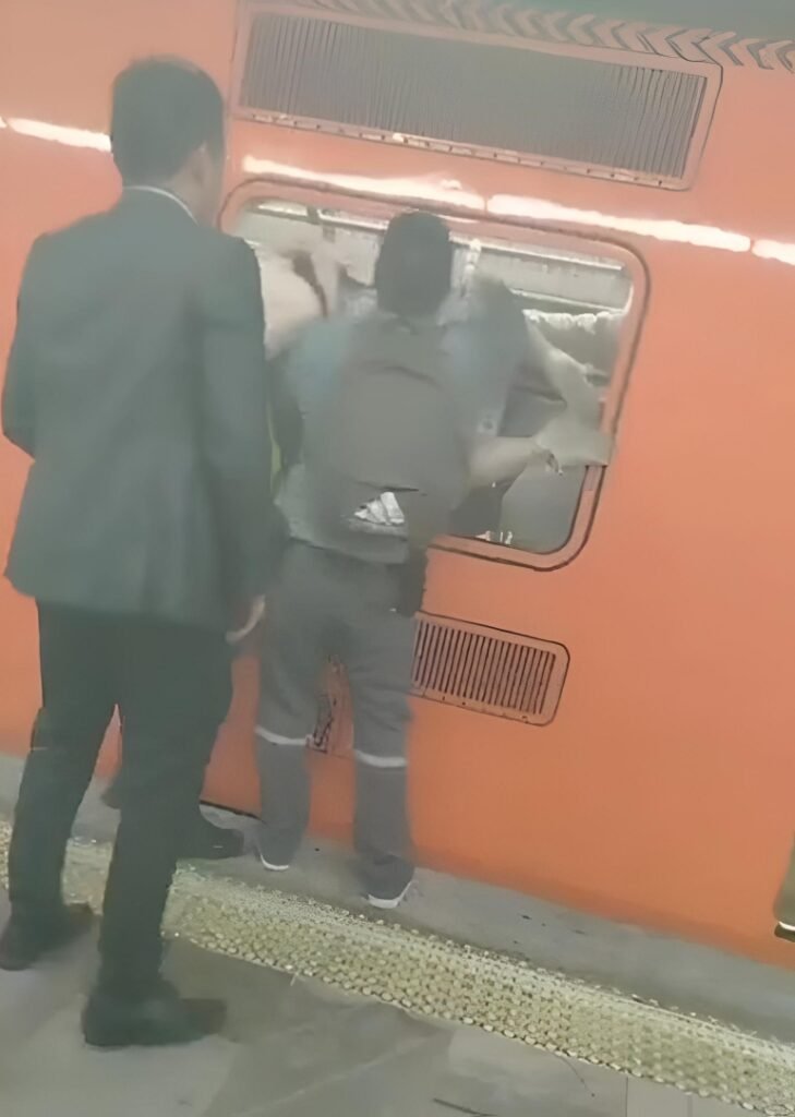 whatsapp image 2025 12 19 at 12.58.26