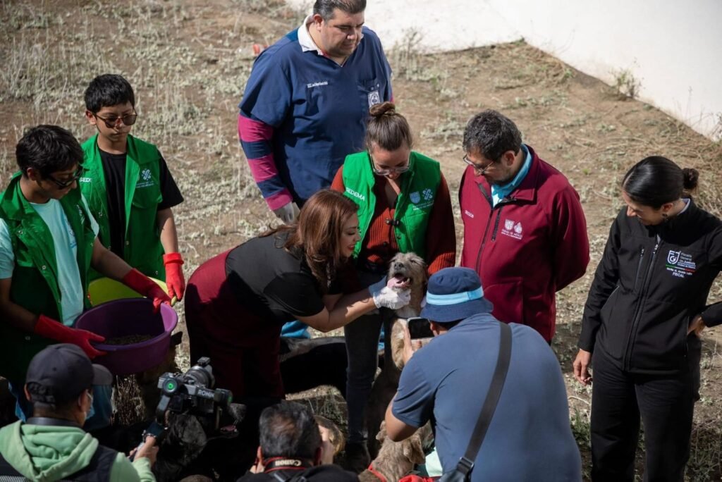 whatsapp image 2026 01 09 at 17.38.35 (1)