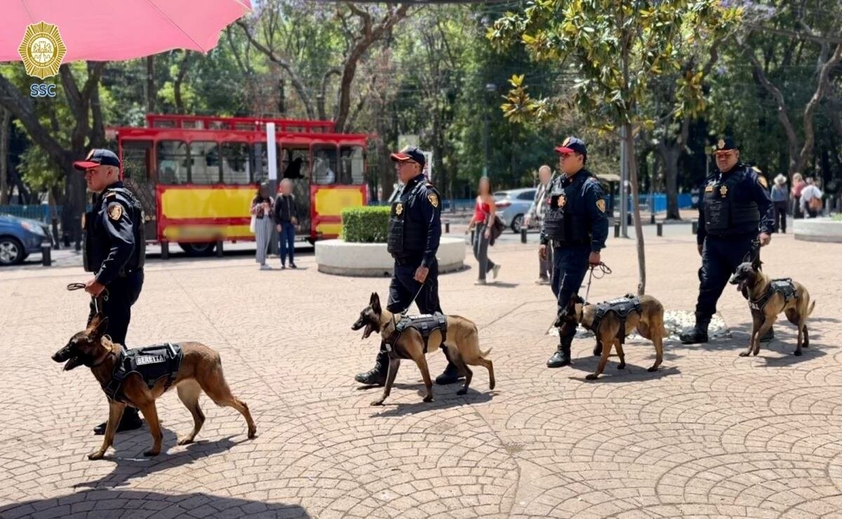 Refuerzan seguridad en CDMX con nuevos binomios caninos rumbo al Mundial 2026 rcyr7nszgjhxjkftb2iv2w2wxm
