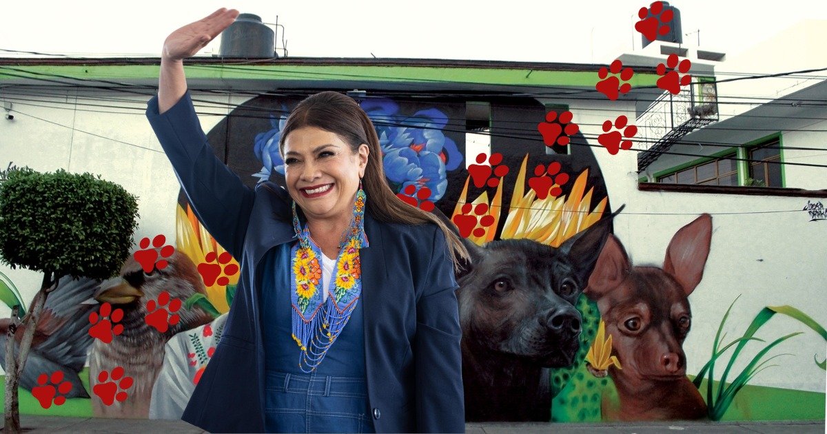 whatsapp image 2026 03 03 at 2.00.20 pm