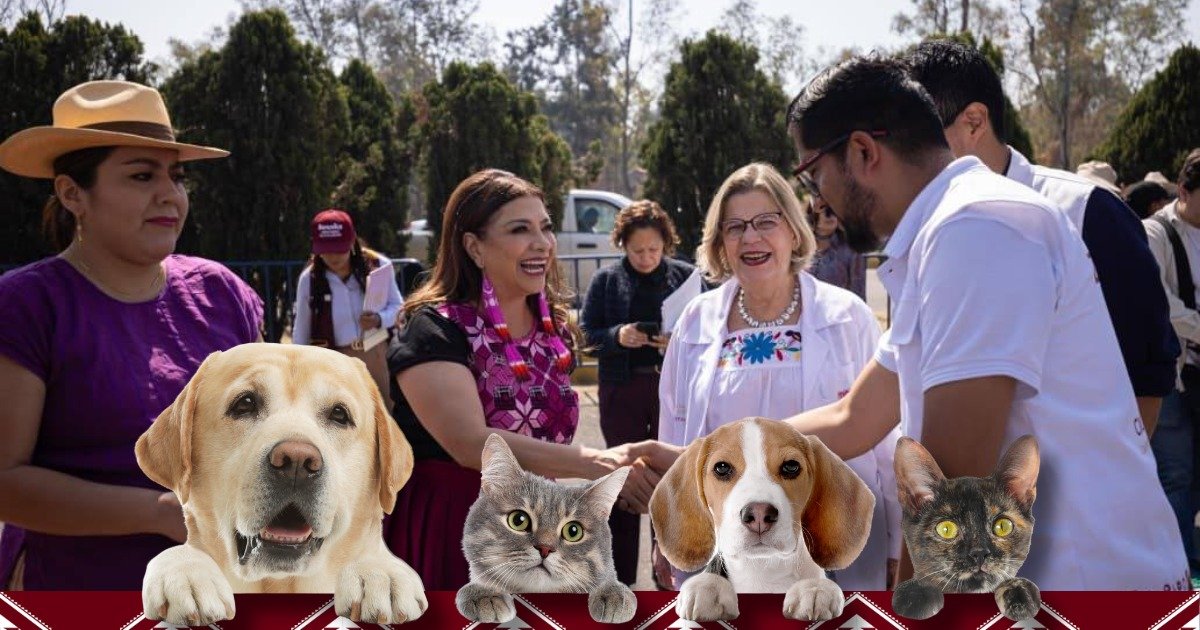 whatsapp image 2026 03 04 at 5.49.13 pm