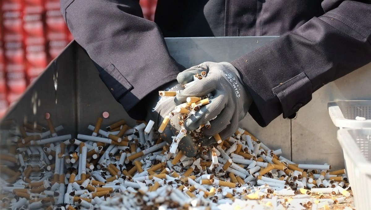 Decomisan más de 1.8 millones de cigarros en Venustiano Carranza durante operativos de seguridad aseguran en nayarit 26 kilos de metanfetamina y 20 kilos de mariguana c00b9c6a e48a 49f9 8ce6 d69c65586fac medialjnimgndimage=fullsize