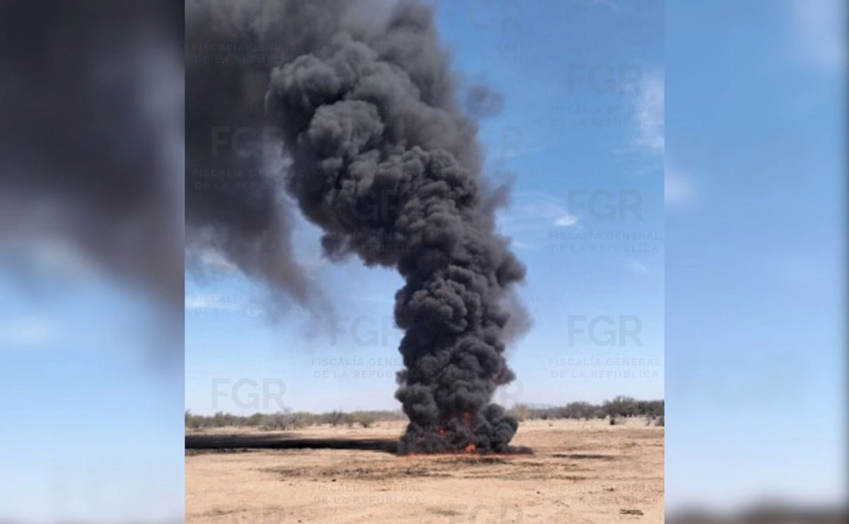 fgr incinera mas de 832 kilos de estupefacientes en sonora c325e014 4c9b 4c45 88bb 8b7fc22dde60 medialjnimgndimage=fullsize