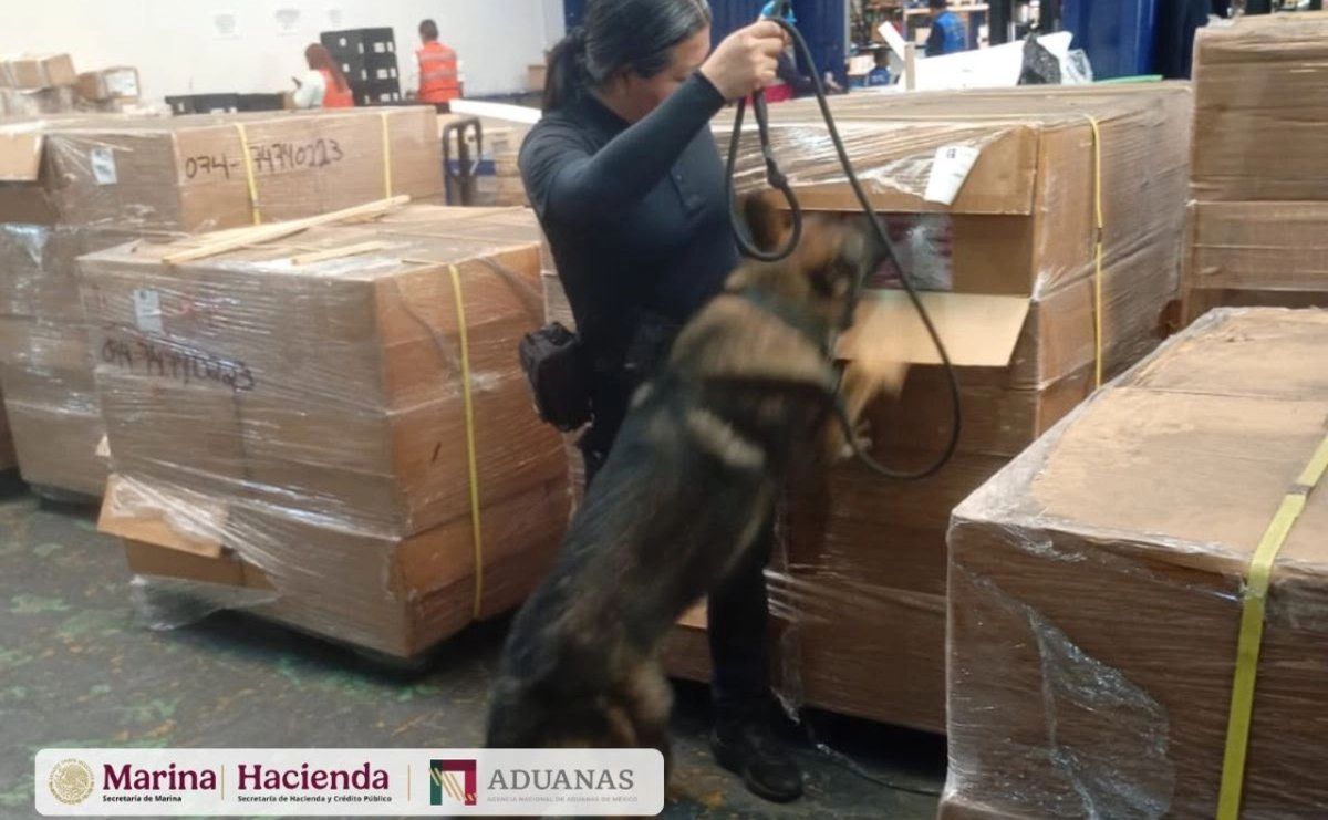 Decomisan 1.2 millones de cigarrillos ilegales en el AICM anam y semar aseguran 12 millones de cigarrillos ilicitos en el aicm provenian de taiwan 1c892744 cd5d 4089 809f 77302152a78e medialjnimgndimage=fullsize