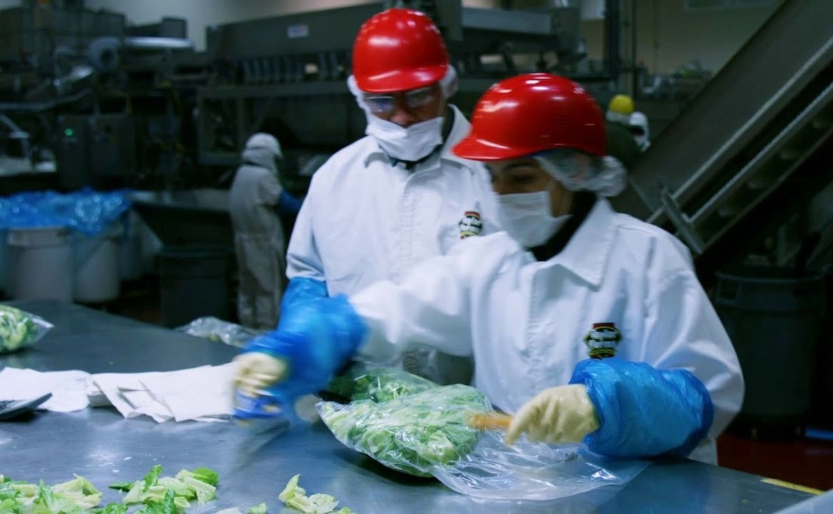 FDA descarta que lechuga mexicana estuviera relacionada con brote de diarrea en Estados Unidos polish 20260720 135229921