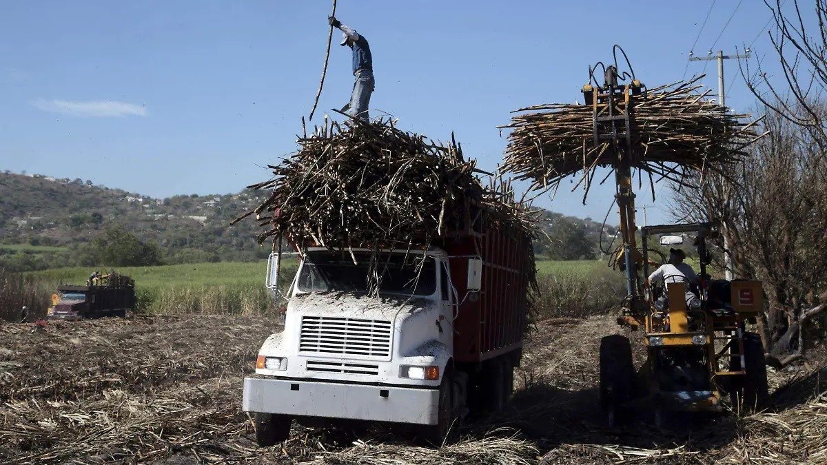 Sheinbaum entrega apoyos a productores cañeros y destaca recuperación de exportaciones de azúcar image (1)