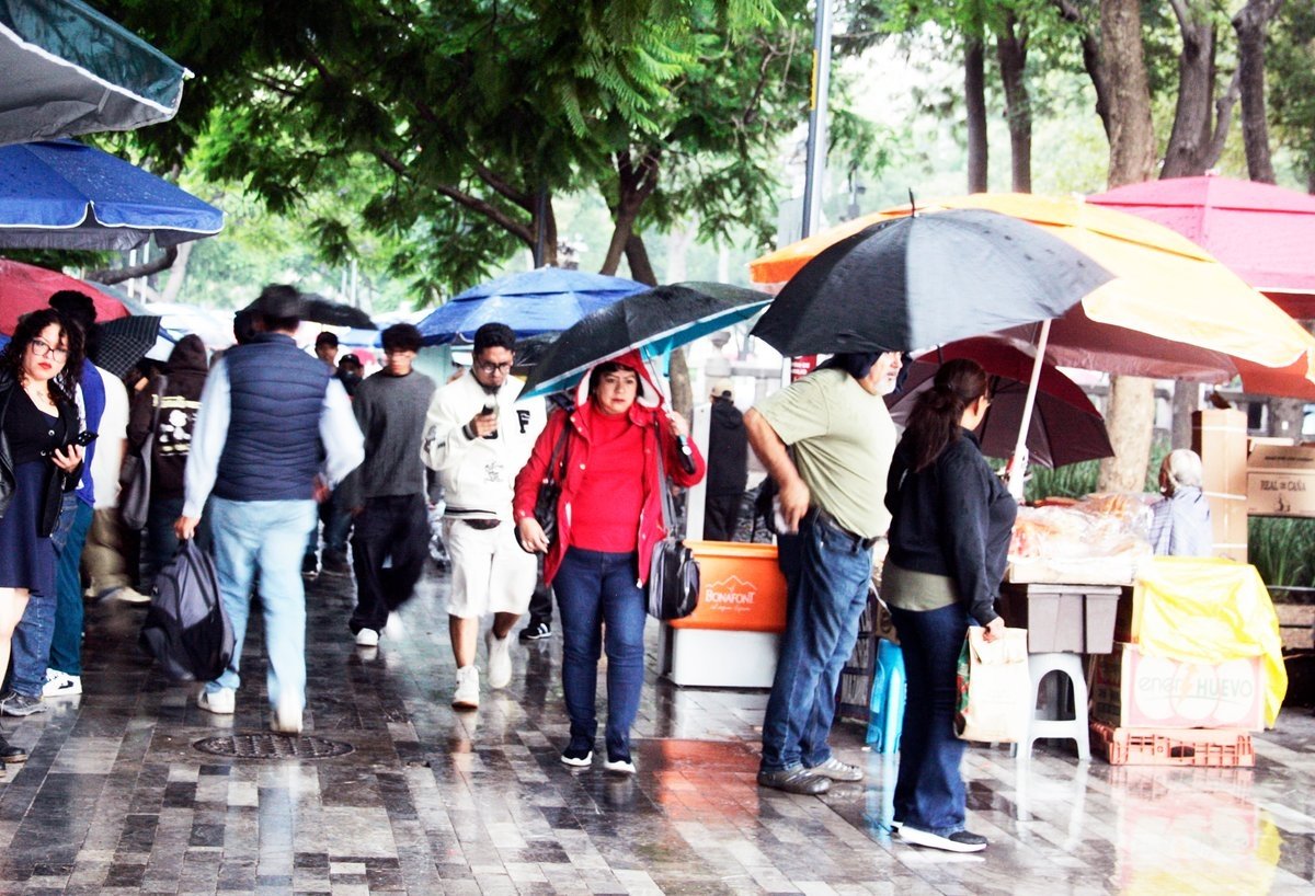 Diputado propone programa nacional para captar agua de lluvia diputado del pri propone iniciat