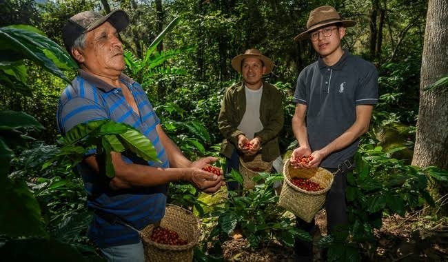 Más de 1.1 millones de indígenas y afromexicanos reciben apoyo al campo images (15)
