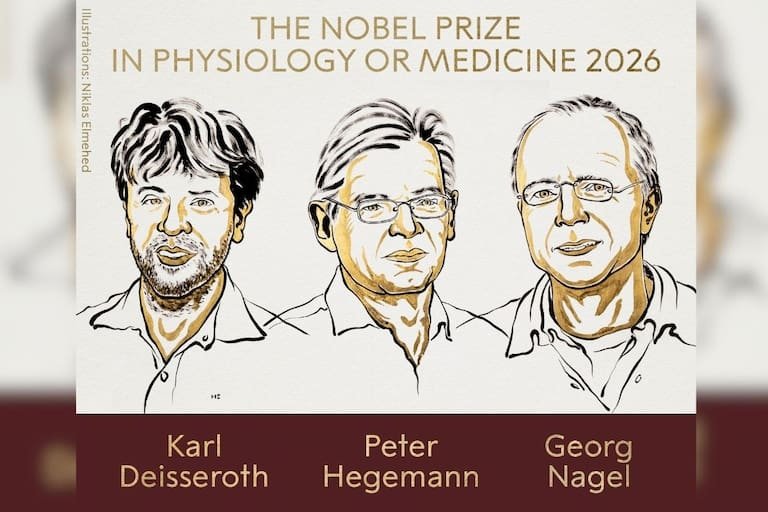 Premio Nobel de Medicina 2026 reconoce avances que permiten controlar células nerviosas con luz btkqjjnxszd2vfrx3dco3xvfja
